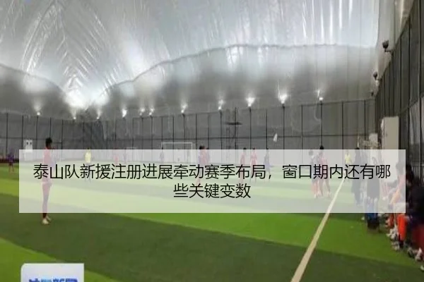 泰山队新援注册进展牵动赛季布局，窗口期内还有哪些关键变数 | bet365